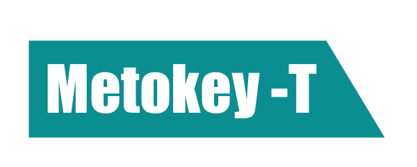Metokey logo